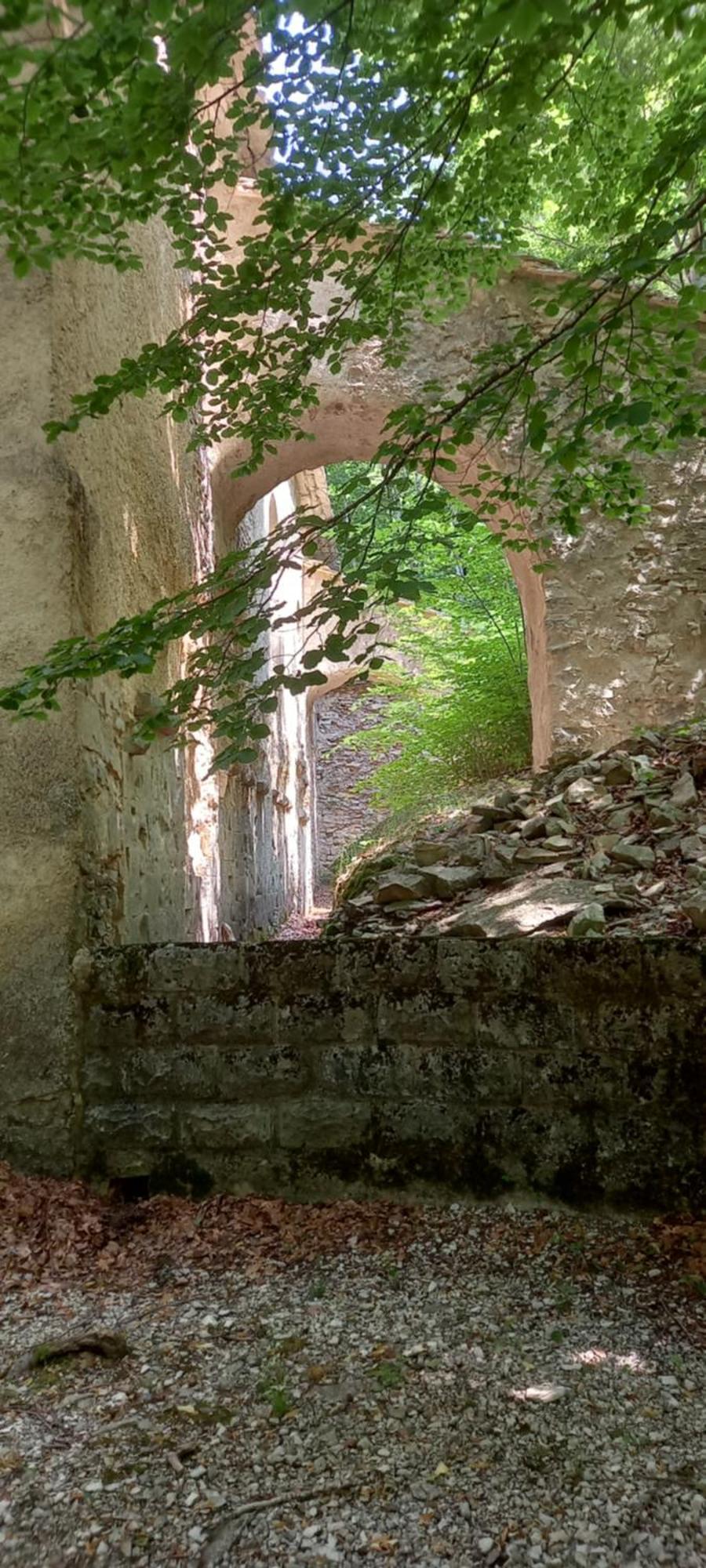 Gite La Mosaique Dauphin Kültér fotó